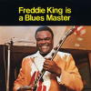 Freddie King is a Blues Master